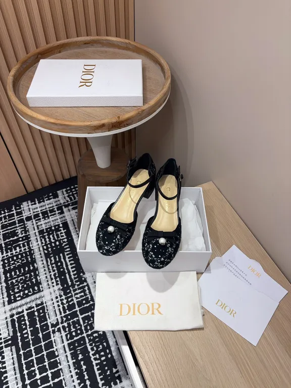 Dior Shoe 